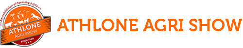 website logo